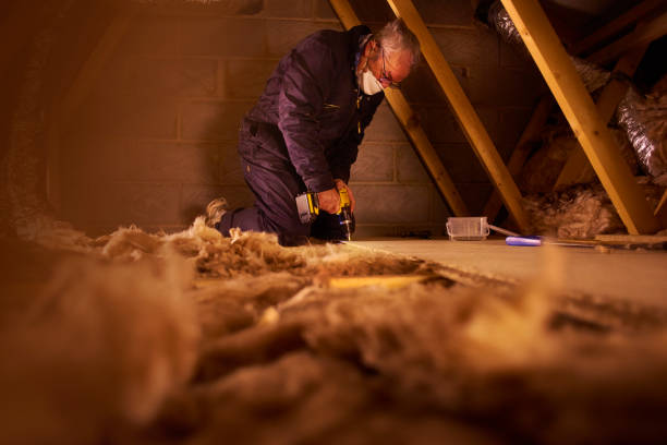 Best Insulation for Specific Applications in Barry, IL